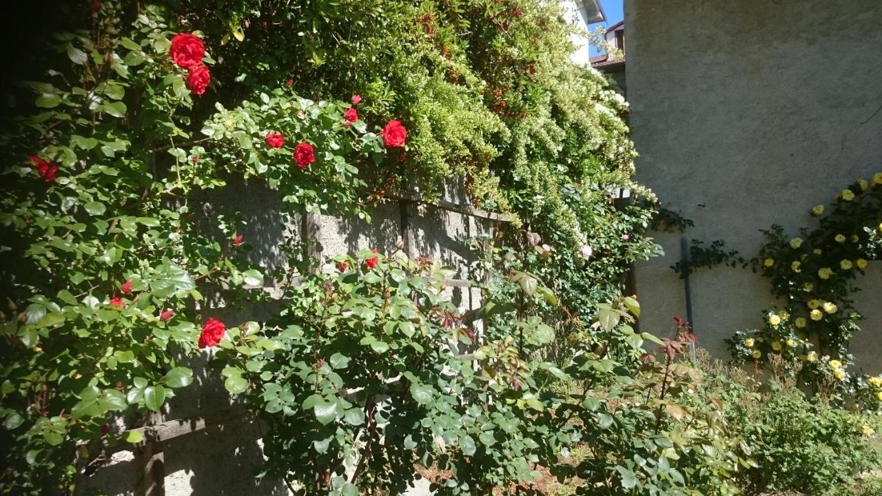 B&B Barbaia Levice Esterno foto